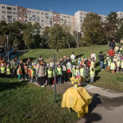 Az őszi nárcisz lesz tavasszal az első virág – Idén is ültettünk a Hospice Nárcisz programon