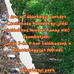 Tisztább lett a Táborhegyi park – Folytatódik a szemétszedési akció