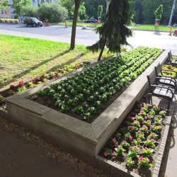 Minden korábbinál több virág kerületünkben