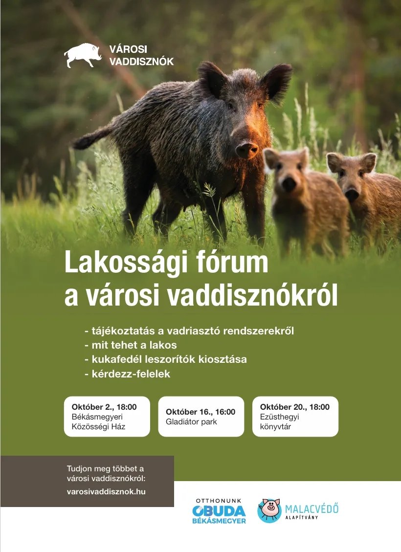 Mit tehetünk a vaddisznók távoltartásáért? – Lakossági fórumokat tartunk a témában több helyszínen is